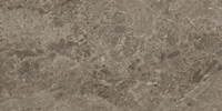 VICTORY TAUPE RET 60x120